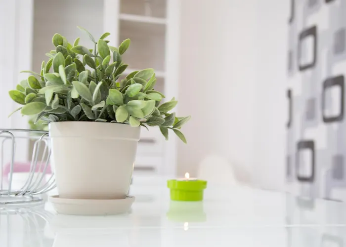 Meisterhaus 5 Fischergasse 6 B غلاوخاو